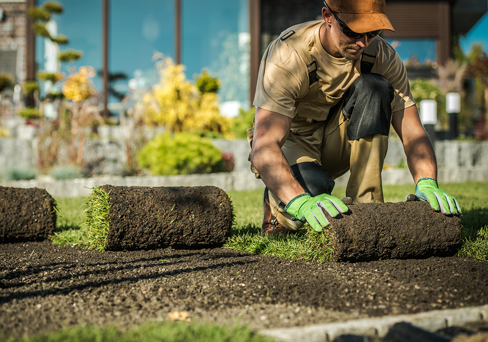 Wisconsin landscapers and hardscapers