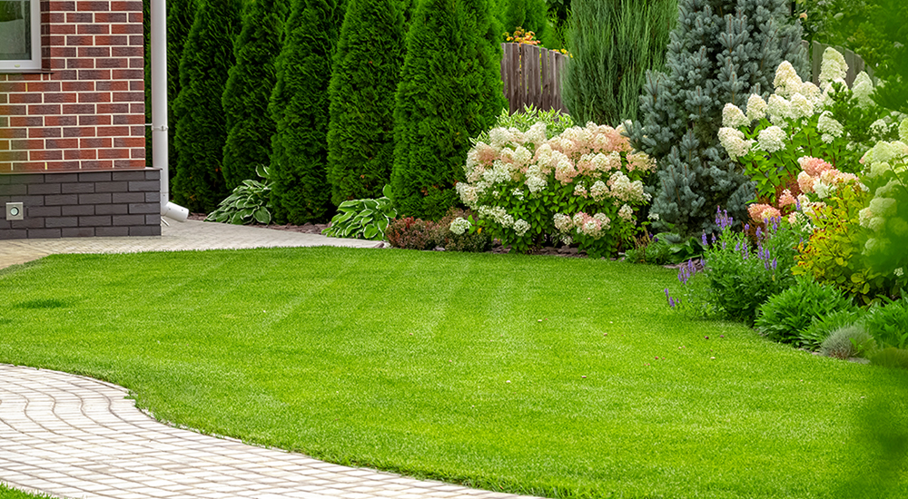 Wisconsin landscapers and hardscapers