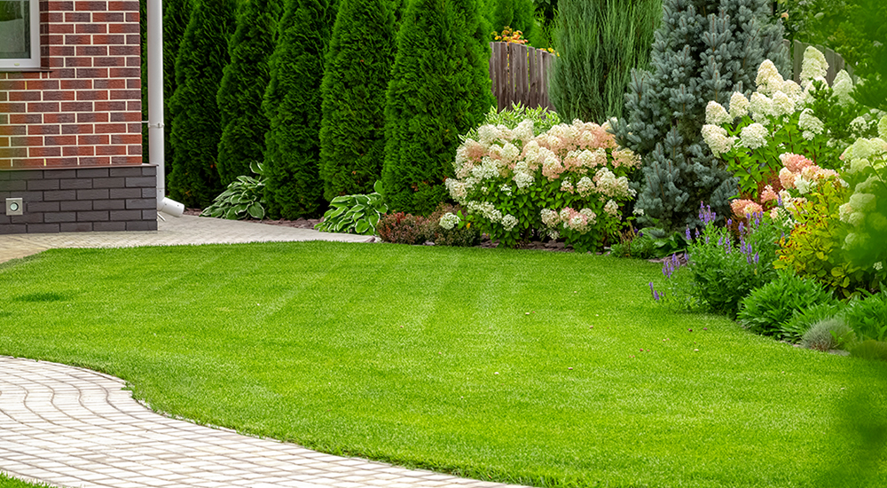Mequon landscaping and hardscaping Mequon landscapers and hardscapers