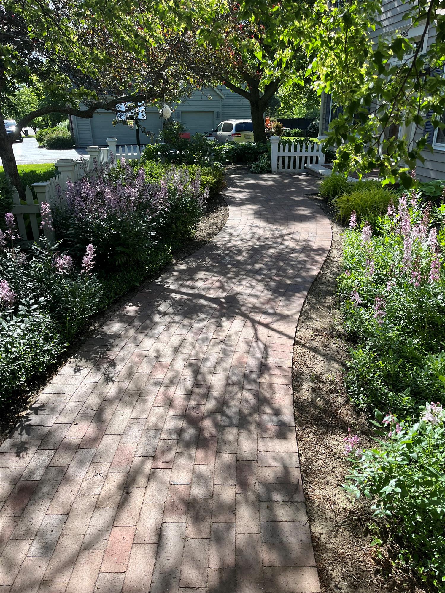 Brick Path through Lush Greenery in the Side Yard