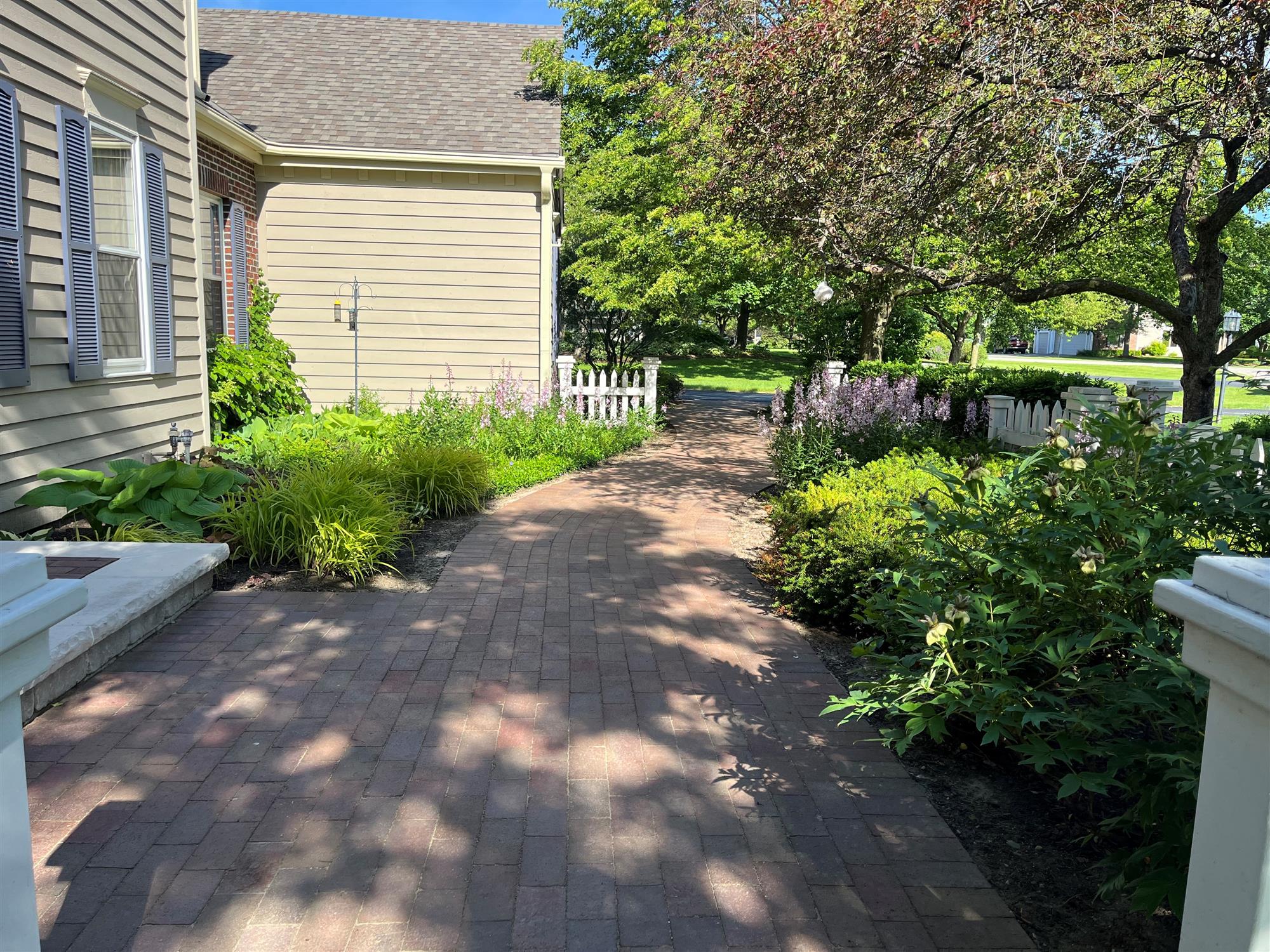 Brick Path in a Rustic Side Yard