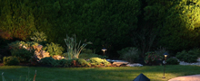 Garden Lights